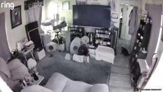 תיעוד מרעידת אדמה בסן דייגו, קליפורניה....