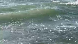 כרישים בחוף בית ינאי....