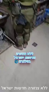 מימונה ברפיח (עמית סגל)....