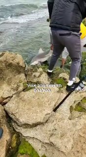 תיעוד מטורף שעות לפני האסון אתמול בחוף הים בחדרה אזרחים תועדו...