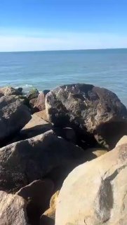 לא רק בחדרה, כרישים תועדו בחופי בת ים....