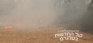 תיעוד מהסוסים שנמלטים מהאש...