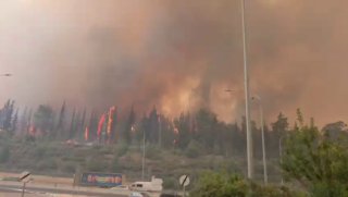 עובדי ויערני קק״ל מדווחים: מאות דונם של שטחי יער נשרפו ביער...