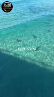 תחנת הכוח באשקלון...