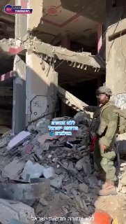 צלב קרס בסג'עיה 