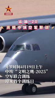 מצרים על התרגיל עם סין: 