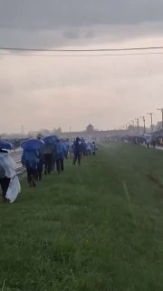 בעקבות גשם זלעפות הופסק, מצעד החיים. וכעת, אנו מדמיינים את מה...