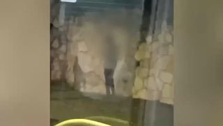 נערים תושבי ירושלים תקפו נהג אוטובוס ונעצרו על ידי שוטרי מחוז...