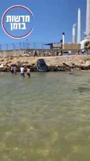 סרטוני הכרישים מציפים את הרשתות החברתיות...