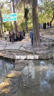 ראשוני: נחל השופט עץ קרס על אזרחים - יש נפגעים...