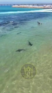 חופי חדרה בדקות אלו....