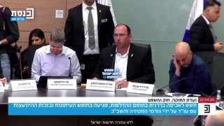 טלי גוטליב על עו