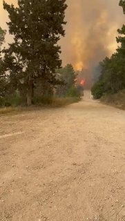 שריפה פרצה באזור מטה יהודה בשטח שבין מסילת ציון לנווה שלום -...