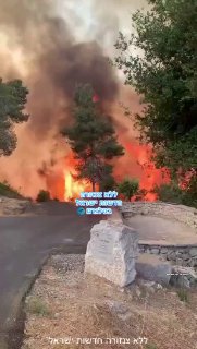 שרפת ענק ביער ירושלים....