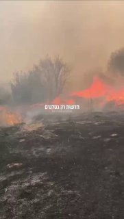 יער קנדה בישראל ...