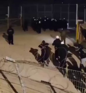 דרוזים פרצו את גדר הגבול בגולן ונכנסו לסוריה כדי לסייע...