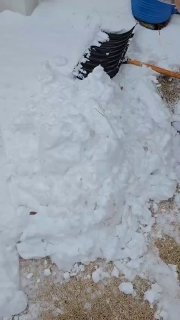 ירושלמים? בע