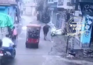 רק בהודו זה יכול לקרות: שור עולה על קטנוע ויוצא איתו לסיבוב...