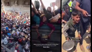 לקט הצגות של השחקנים מעזה בוכים לאוכל במקום לבקש מהחמאס...