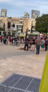 הערב בכיכר הבימה, תל אביב....