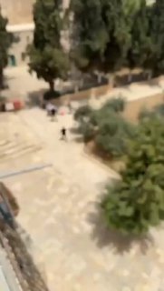 יהודי ניכנס להר הבית וחטף מכות מערבים במקום...