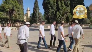 יום ירושלים מאות יהודים החלו לעלות להר הבית...