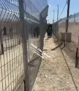 תיעוד: שרוול בכניסה למרכז חלוקת הסיוע בתל א-סולטאן ברפיח...