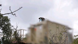 הותר לפרסום: במהלך המלחמה האחרונה מערכת הביטחון ביצעה ניסוי...