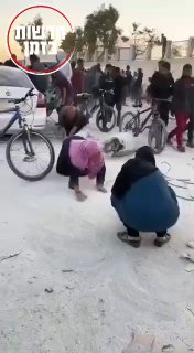 שלג ירד בעזה ......