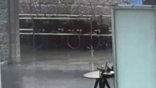 המשטרה: חשד: עובד בכיר בנתב״ג שאחראי על הכניסות לארץ - התנה את...