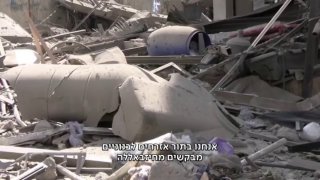 רועי קייס: חברת הפרלמנט הלבנונית, פאולה יעקוביאן, יוצאת על...