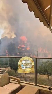 תיעוד מטורף מהשריפה בעין כרם...