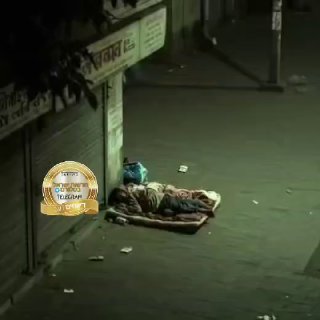 הודו: לביאה משוטטת הריחה הומלס והמשיכה לדרכה😨....