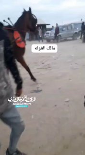 🎥 עזה | 3 הרוגים ו כ 100 פצועים כך ע