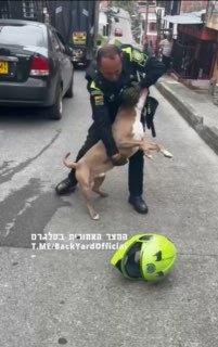 התיעוד הזה מגיע אלינו מקולומביה. כלב תוקף שוטר ...