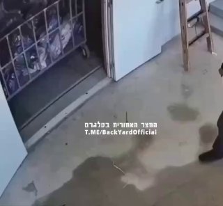 הפתעה במעלית...