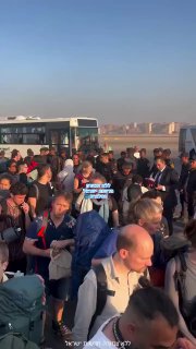 המצרים מגרשים תומכי מחבלים שהגיעו לקהיר כדי להשתתף במצעד...