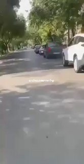 תורי ענק לדלק באיראן...