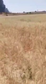 הריסת אתרים צבאיים השייכים למשמרות המהפכה בבורוג'רד...