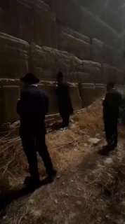  תופעה חדשה: בכותל המזרחי...