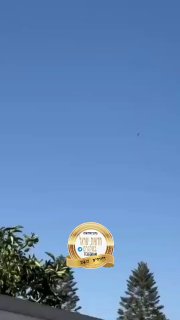 נצפה בישראל B2...