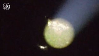 מטורף : גנבים ערבים מאיו