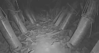 צילום שלא תראו בהרבה אתרים או חדשות ...