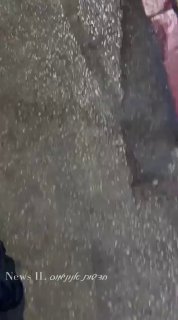 קפלן. זאת הרמה 🤦 ...