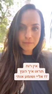 אין רוח תראו איך העץ זז אליי ושומע אותי...