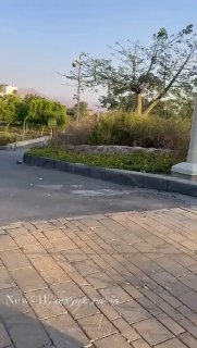 תיעוד נוסף של פגיעת הכטב״מ....