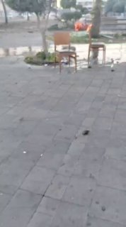 אילת כעת.....