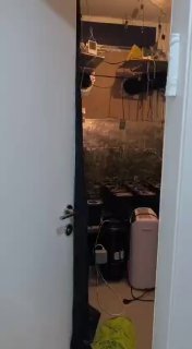 דוברות המשטרה:...