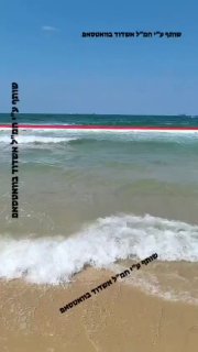 כריש בגודל 4 מטר 😯...