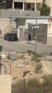 מה שקורה בנגב איפשר לתאר... אפילו ביער יש חוקים...